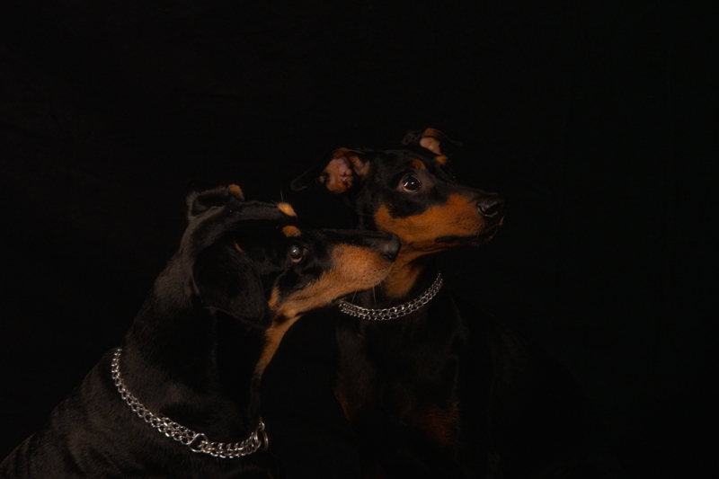 DSC_1074-1