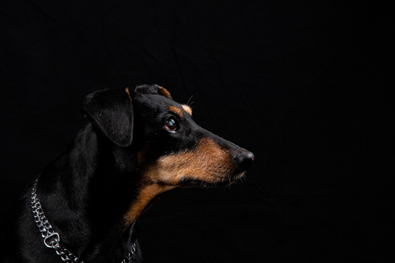 DSC_1090-1